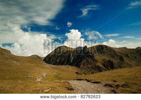 The Way To Negoiu Peak, Carpathians Mountains, Romania
