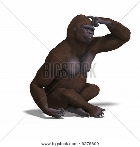 goryl