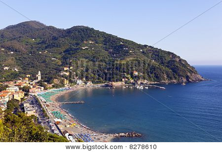 Levanto