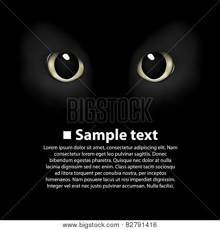 Cat's eyes on a black background