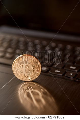 Bitcoin Reflection
