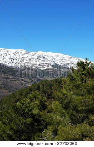 Mountain landscape, Las Alpujarras.