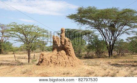 Termite Nest, Ethiopia, Africa