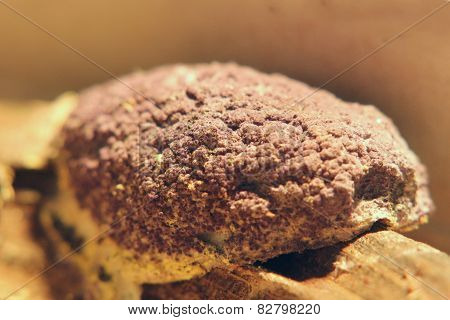 Scrambled Egg Slime