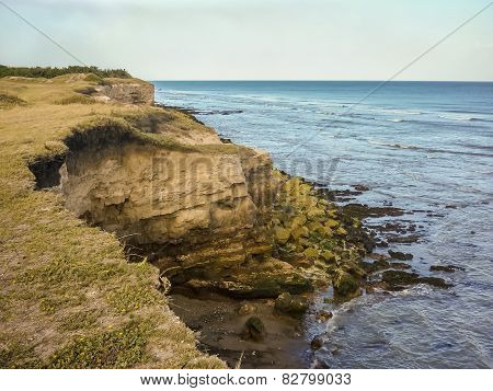Coast Landscape Aerial View