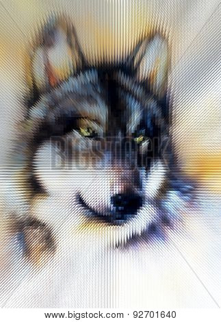 Wolf,  Wild Animal Painting , Color Background On Paper, Multico