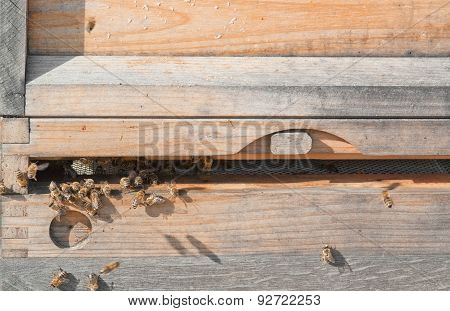 Beehive