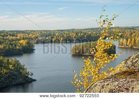 Autumn Landscape