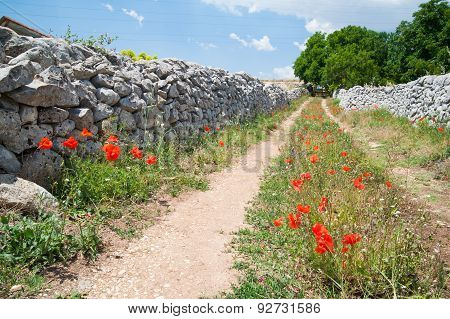 Country Road