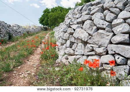 Country Road