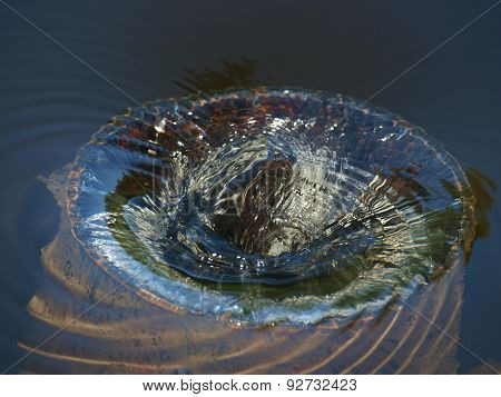 Water Forms A Vortex