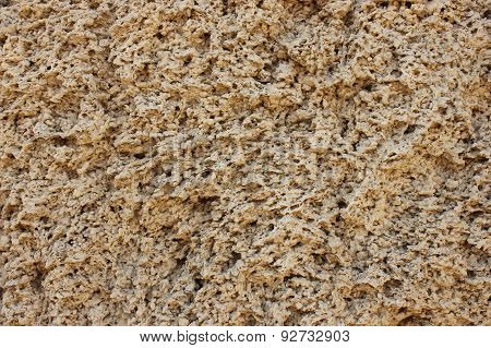 Shell rock texture