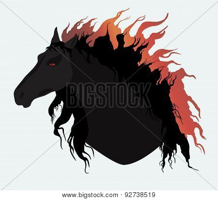 Black horse