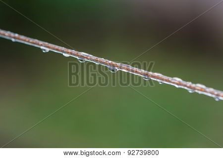 Raindrops