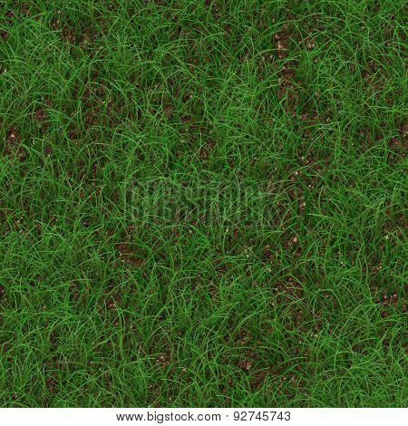 Grass Generated Seamless Texture