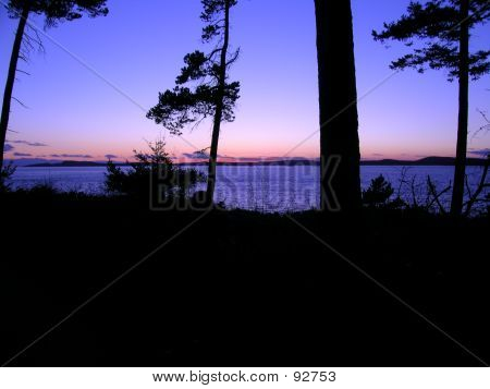 Fidalgo Island