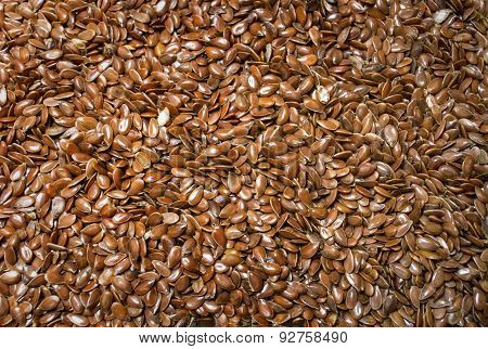 Flax seed