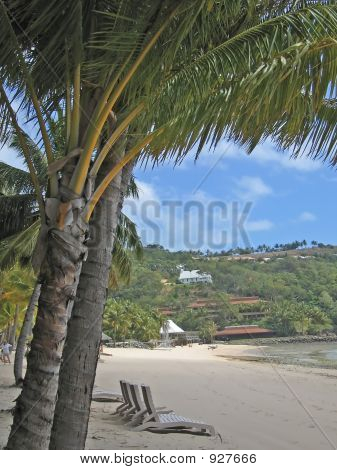 Vista sull'isola di Hamilton