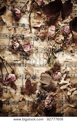 Dry Roses On Vintage Paper Background