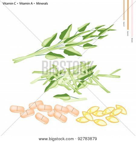 Water Spinach With Vitamin C And A