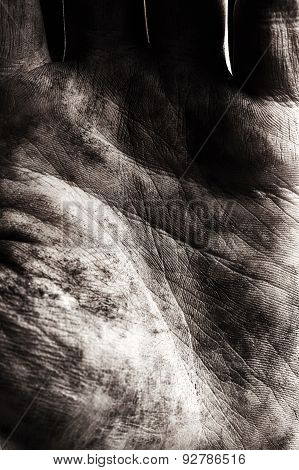 Texture Of Handbreadth