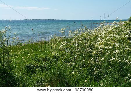 Beautiful Coast Line Beach Denmark