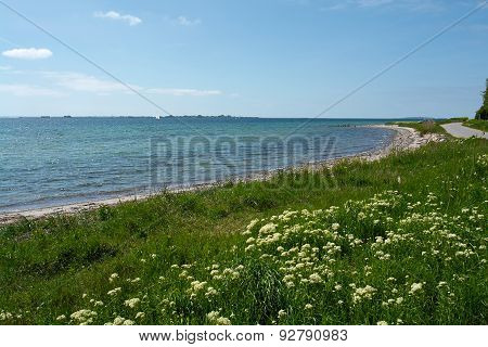 Beautiful Coast Line Beach Denmark