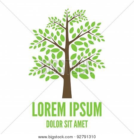 Vector Tree Logo Template