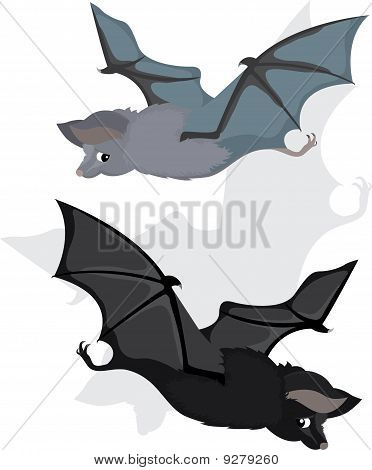 Fledermaus in zwei Varianten, cartoon