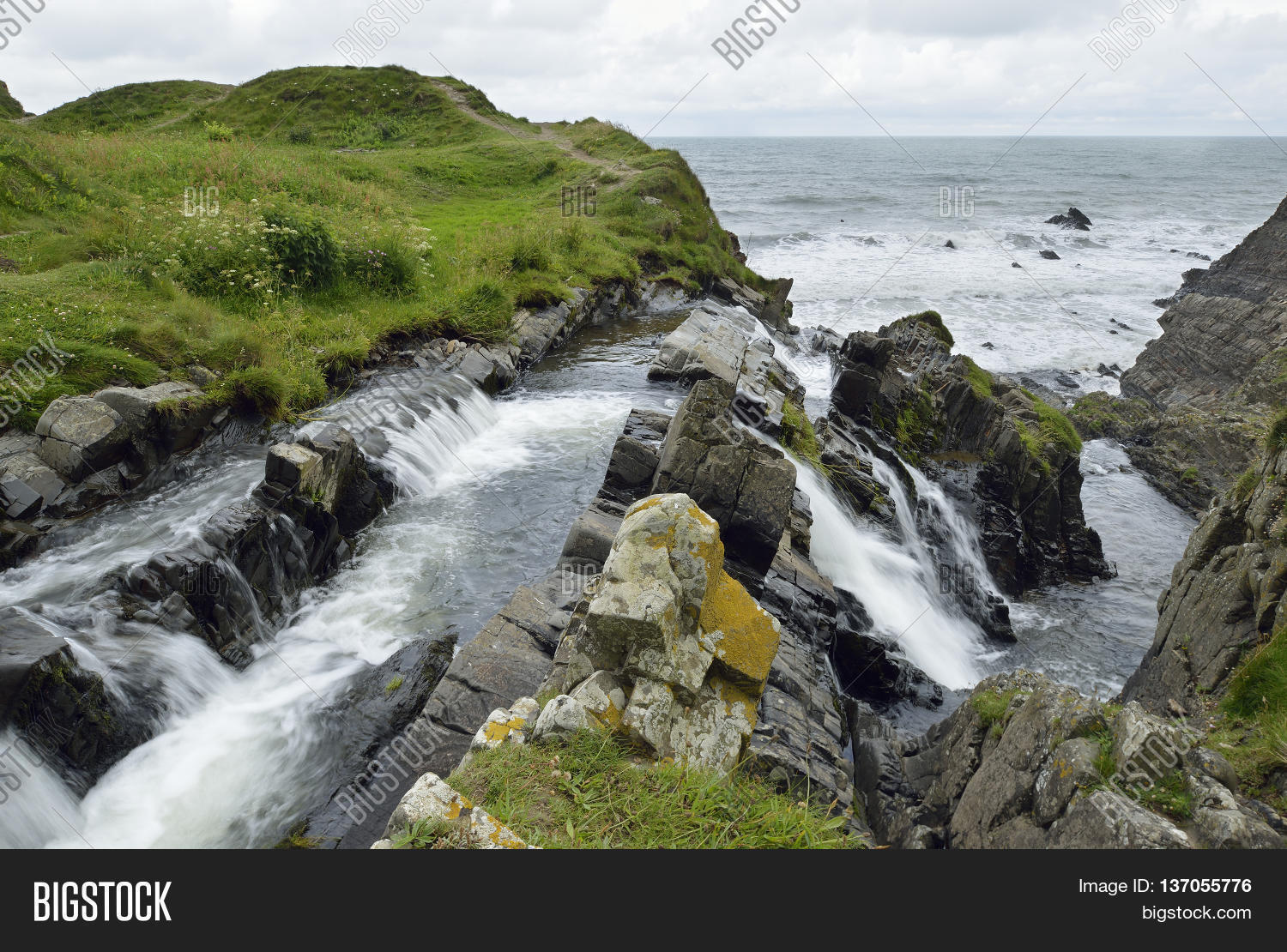 ภาพและภาพถ่าย (ทดลองใช้ฟรี) | Bigstock