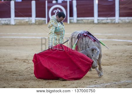 Ubeda Spain - September 29 2010: The Spanish Bullfighter El Cid bullfighting with the crutch in the Bullring of Ubeda Spain