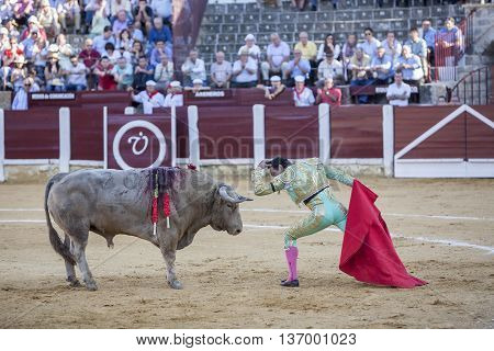 Ubeda Spain - September 29 2010: The Spanish Bullfighter El Cid bullfighting with the crutch in the Bullring of Ubeda Spain