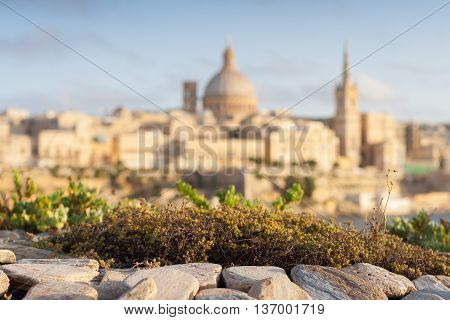 View from Tigne Point across the harbour to Valletta with moss and rocks in foreground