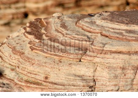 Red Rock Canyon