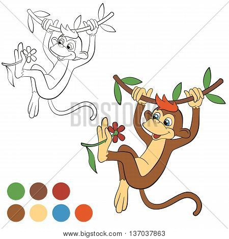 Coloring page. Color me: monkey. Little cute monkey hanging on the liana and holding a flower in the paw. Monkey smiles.