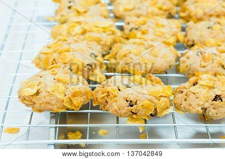 currant and cornflakes cookies on grille .