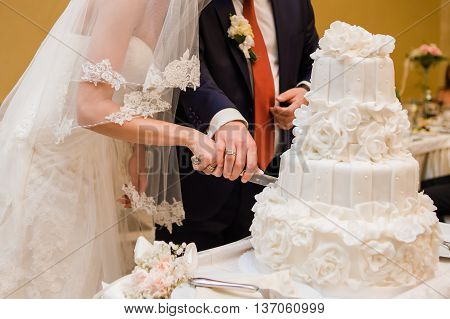 Big wedding cake. Candy bar. Bride and groom. Candy bar