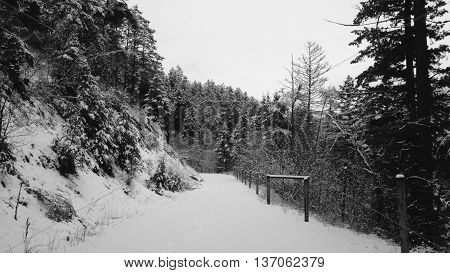 Black and white winter landscape off the beaten path.