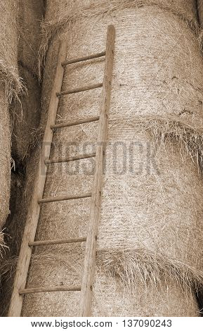 Wood Ladder In The Barn Of The Farm