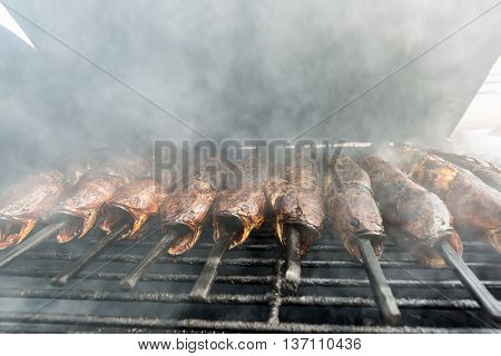 Grilled Snakehead fish Thai style food