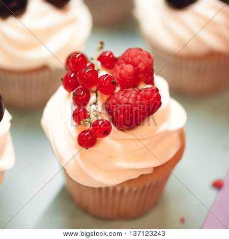 Tasty cupcake with fresh raspberry and currant cream cheese on top closeup. Selective focus.