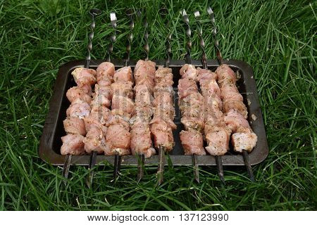Skewers of meat of a turkey prepared for roasting on the coals.
