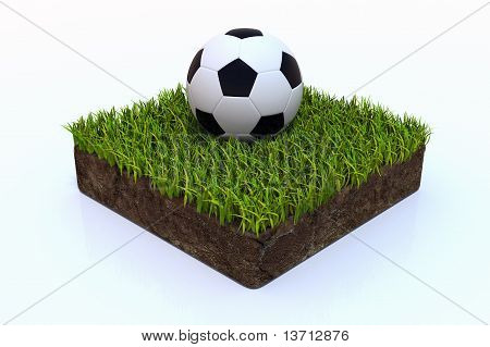 Gol çimenlerin üzerinde