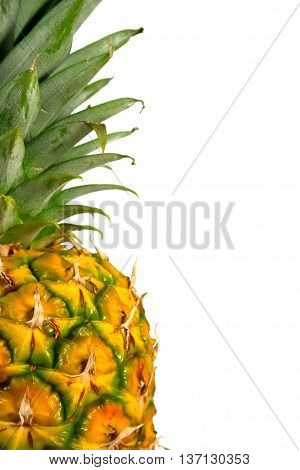 Closep up of a Pineapple on white background