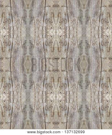Tree stump cut old wooden background from top view. Collage with mirror reflection of cut tree trunk. Decorative seamless wooden texture