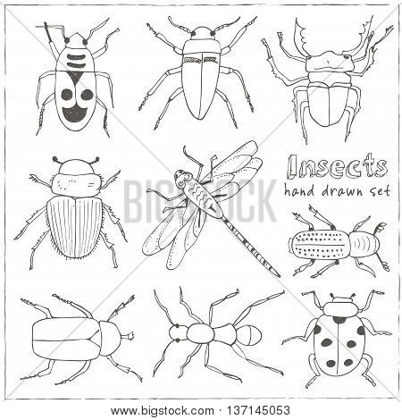 Set of doodle sketch Bugs and beetles. Insects collection kit. Isolated vector illustration