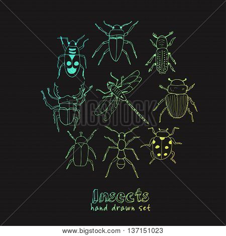 Set of doodle sketch Bugs and beetles. Insects collection kit. Isolated vector illustration