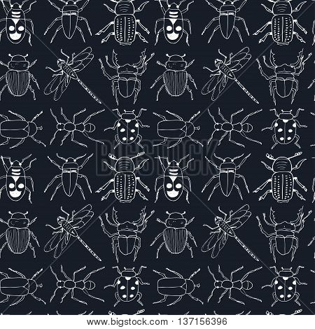 seamless pattern doodle sketch Bugs and beetles. Insects collection kit. Isolated vector illustration