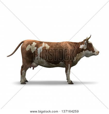 Cow on white background isolated 3d rendering
