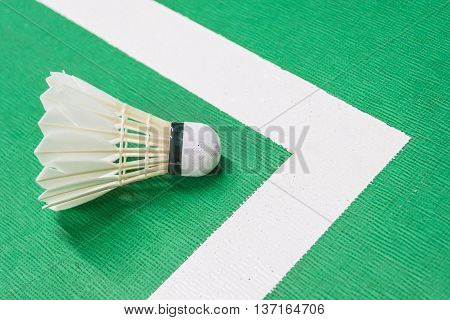 White badminton shuttlecock on a green court with a white line.